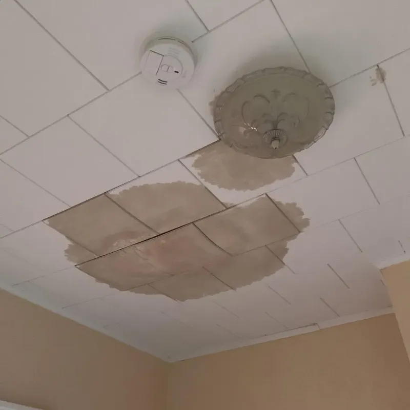 Ceiling Water Damage Repair in Waynesburg, PA