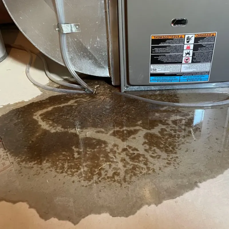 Pipe Burst and Leak Restoration in Waynesburg, PA