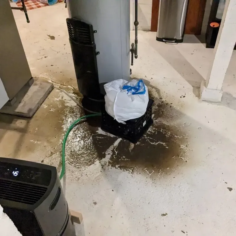 Sewage Backup Cleanup Service in Waynesburg, PA